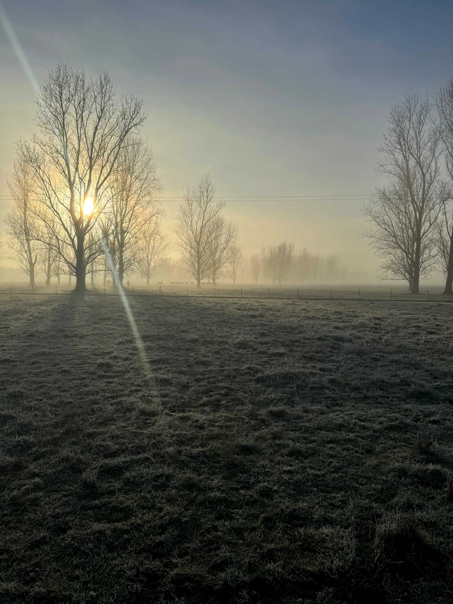 Rural pastoral landscape for land acquisition