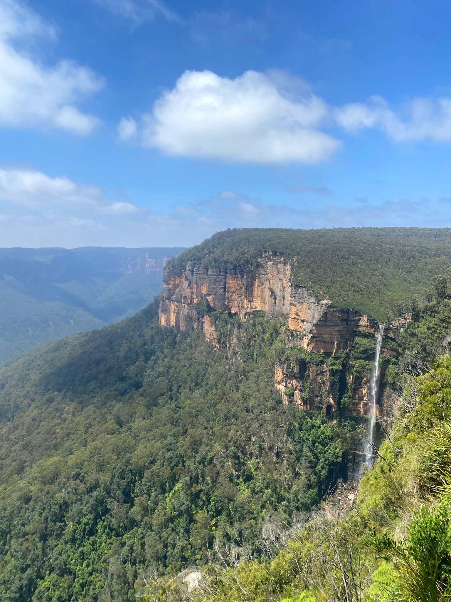 Blue Mountains environmental landscape