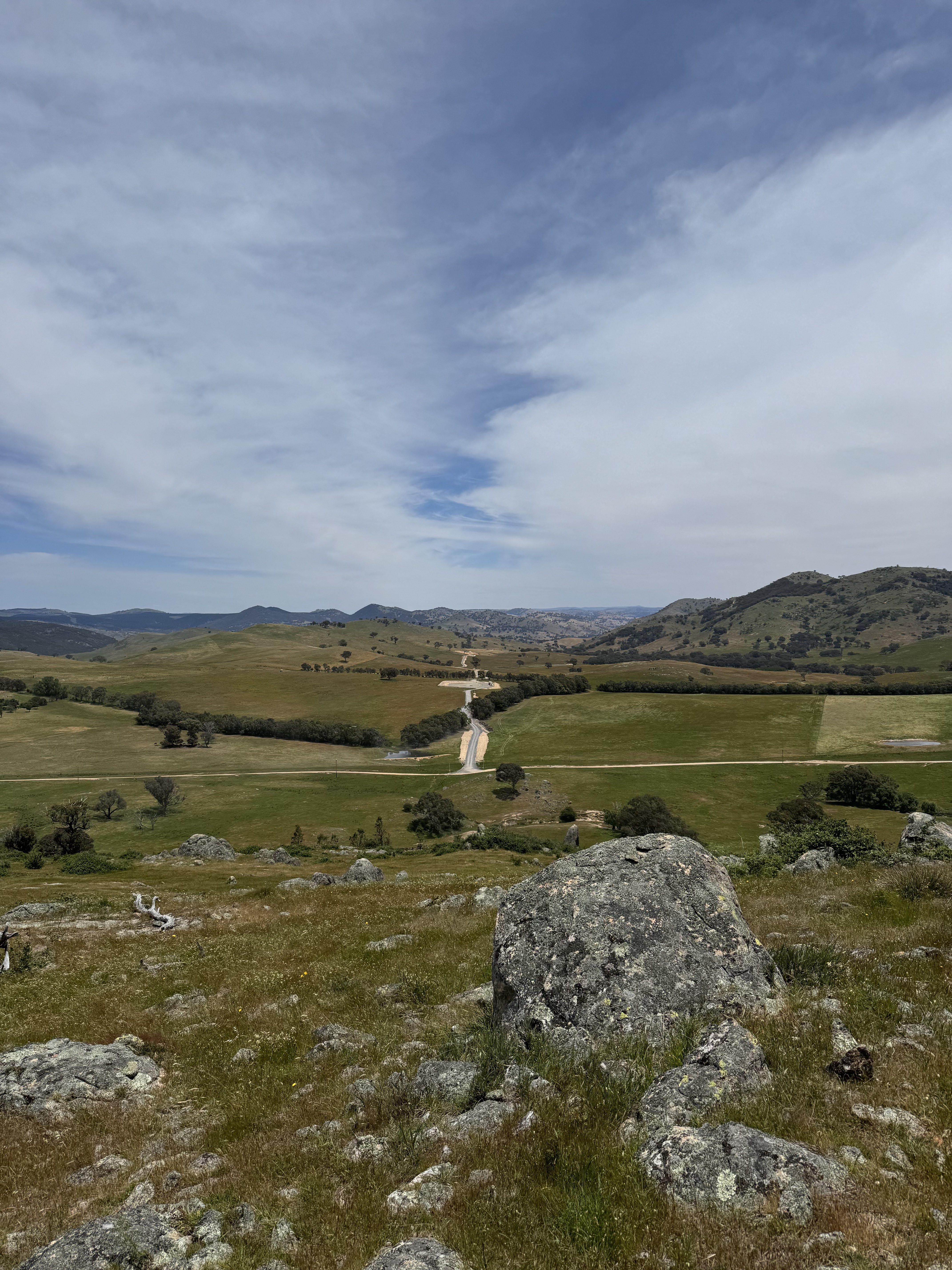 Transmission corridor landscape